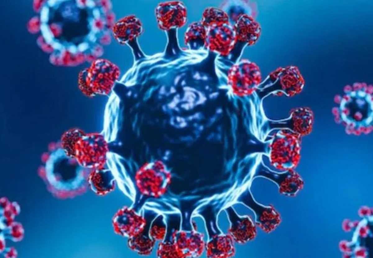 महाराष्ट्र में कोरोना के 65 नए मामले, 300 मरीज हुए ठीक महाराष्ट्र में कोरोना के 65 नए मामले, 300 मरीज हुए ठीक